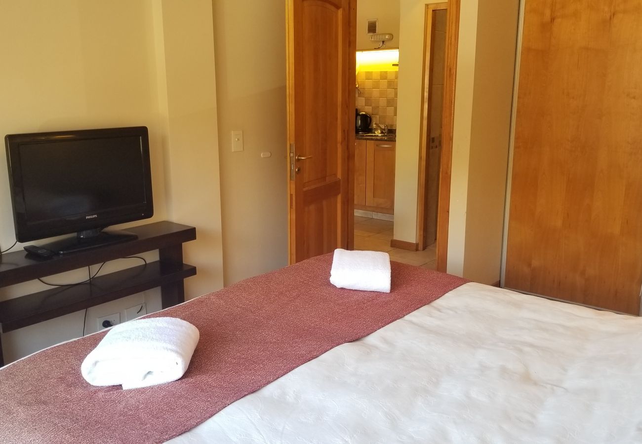 Apartamento en San Martin de los Andes - Del Muelle 5 - Andarlibre