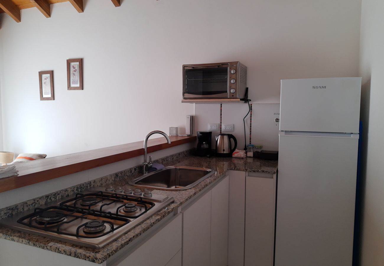 Estudio en San Martin de los Andes - Aluen 2D - Andarlibre