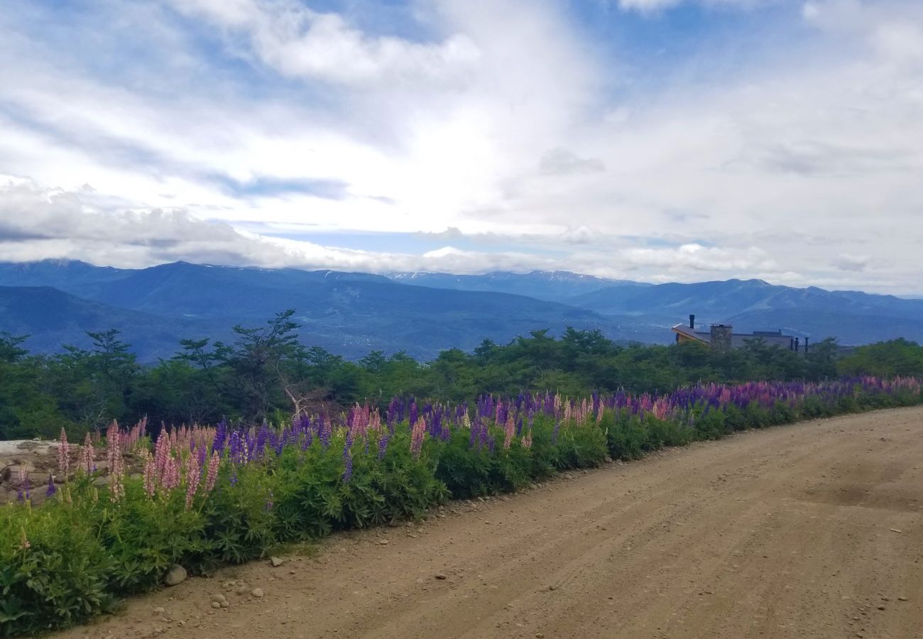 Bungalow en San Martin de los Andes - Las Pendientes - Las Julias 3 - Pago en dólares