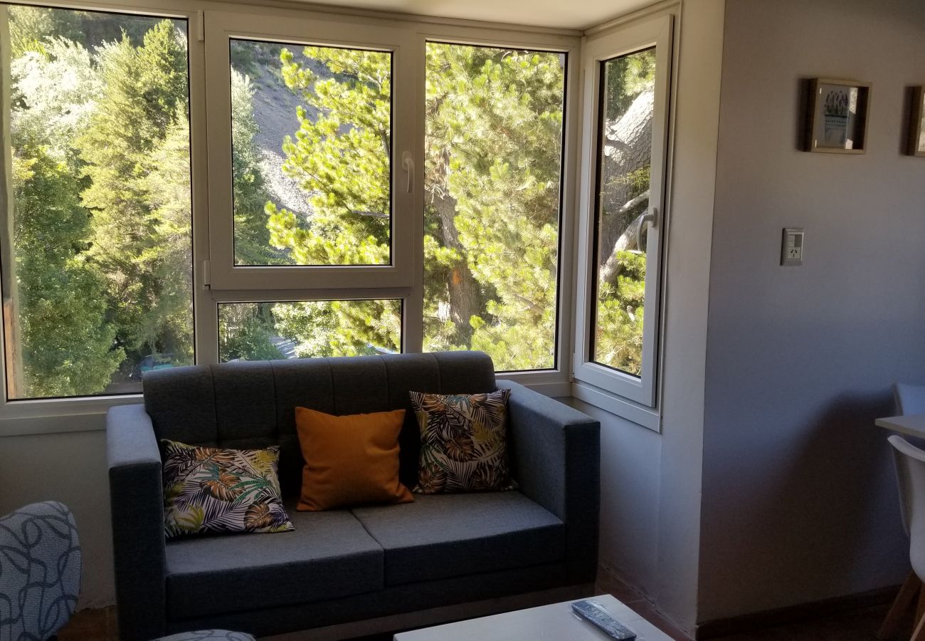 Apartamento en San Martin de los Andes - Casino - Andarlibre