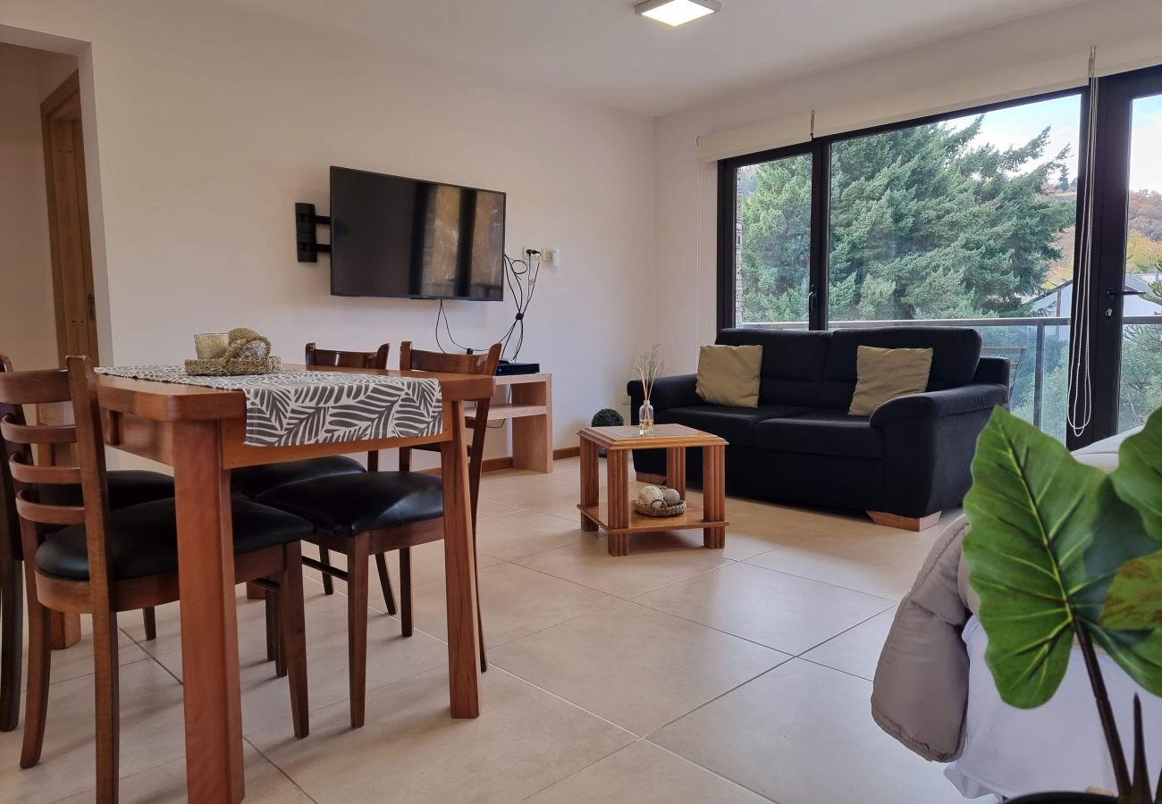 Apartamento en San Martin de los Andes - Vista Norte 5