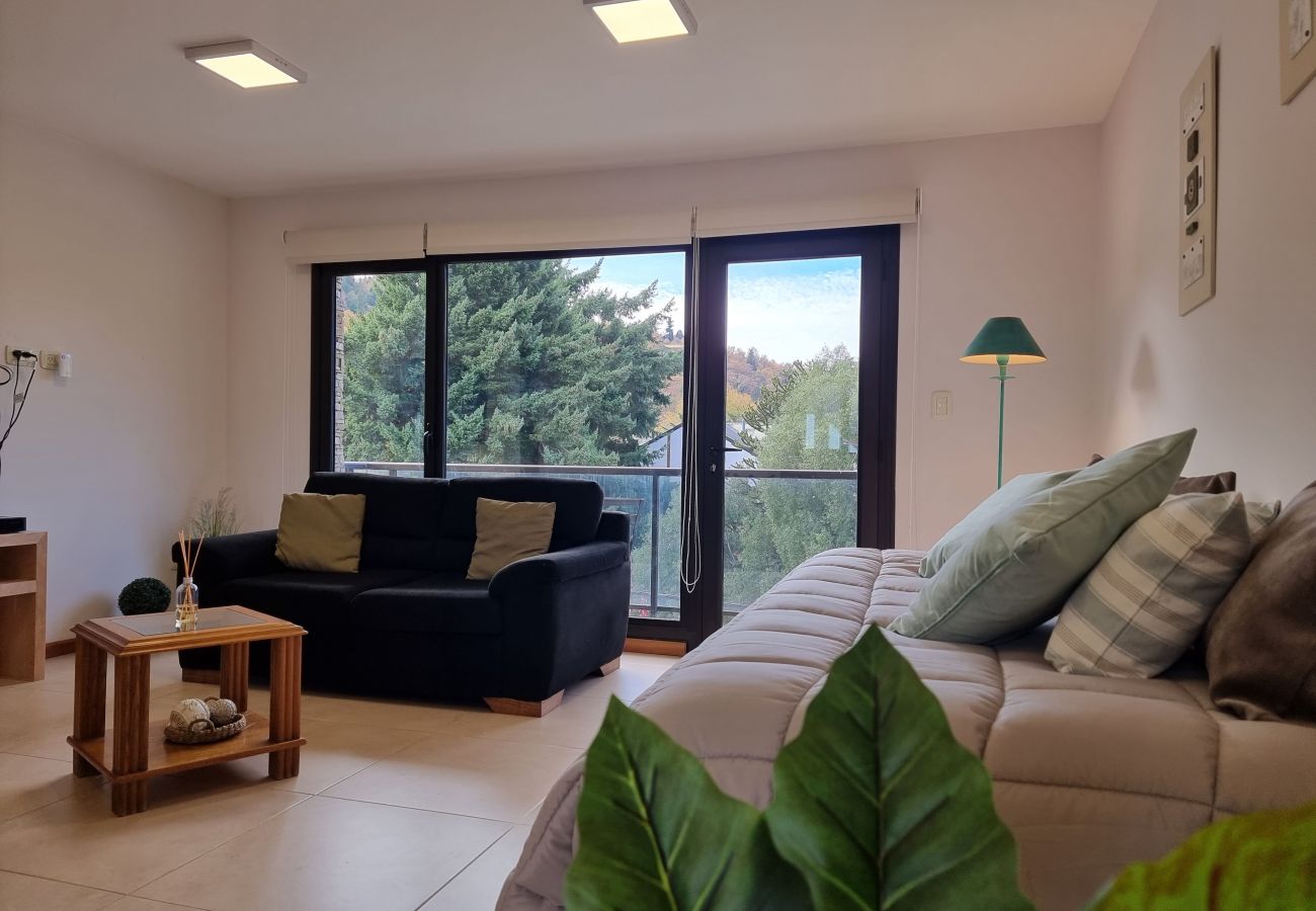 Apartamento en San Martin de los Andes - Vista Norte 5