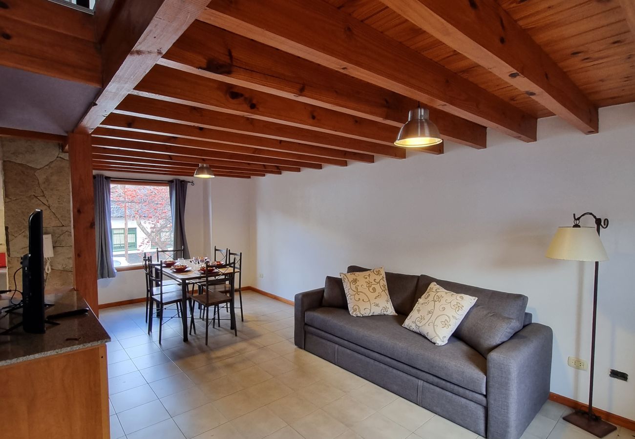 Apartamento en San Martin de los Andes - Cordillera - Andarlibre